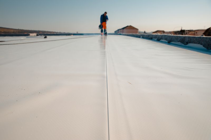 Roof Cleaning