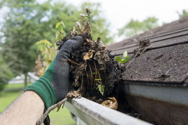 Removing Debris from Rubber Roofs