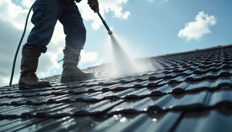 Signs Your Home Needs Professional Roof Cleaning